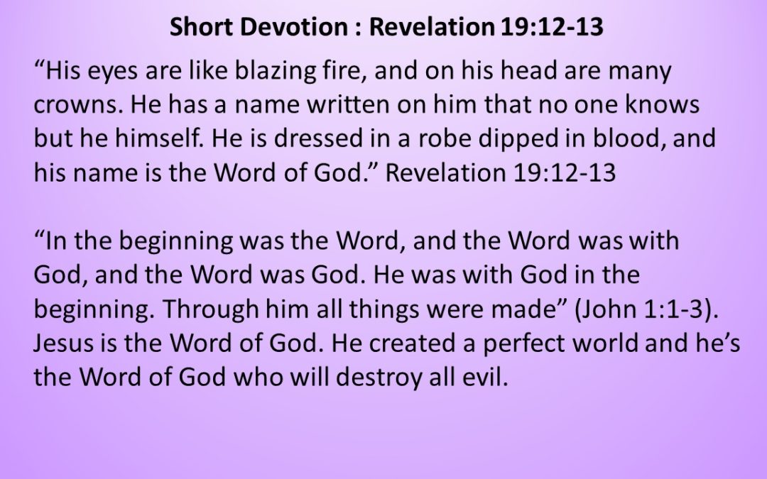 Short Devotion : Revelation 19:12-13