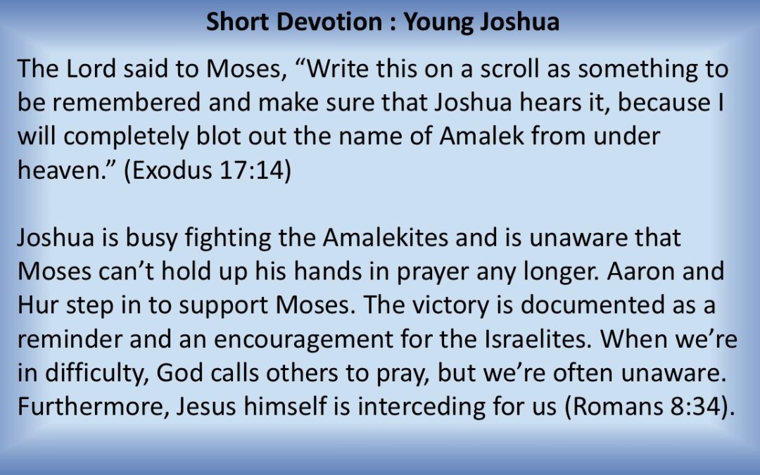 Short Devotion : Young Joshua